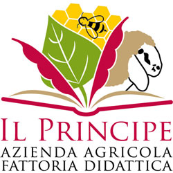 IL PRINCIPE