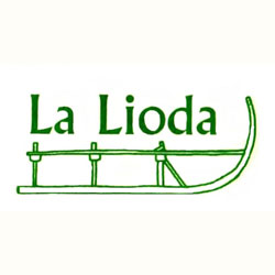logo-lioda